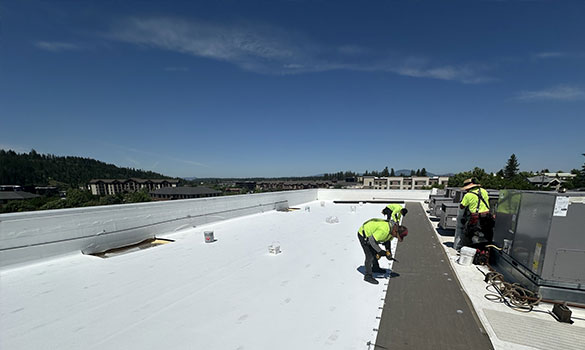 Gallery Image2 Gallery Image2